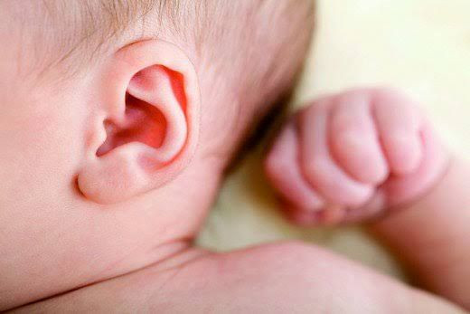 Telinga bayi
